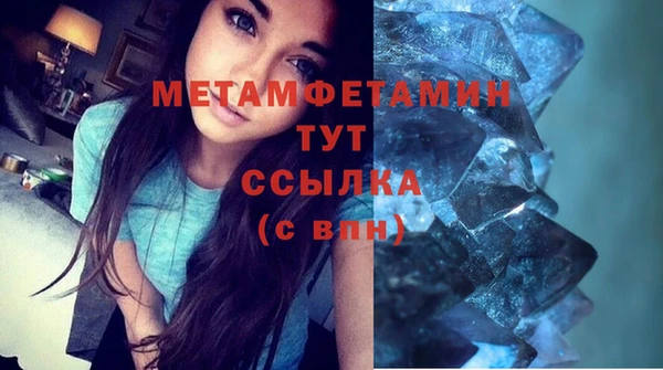 гидра Коряжма