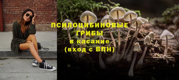 ALPHA PVP Корсаков