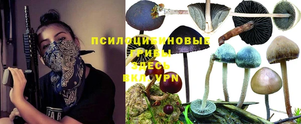 гидра Коряжма