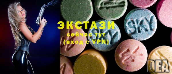 гидра Коряжма