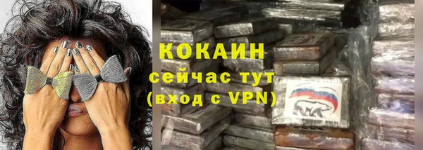 гидра Коряжма