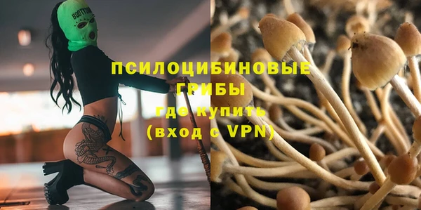 соль ск Краснотурьинск
