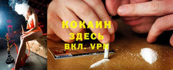 гидра Коряжма