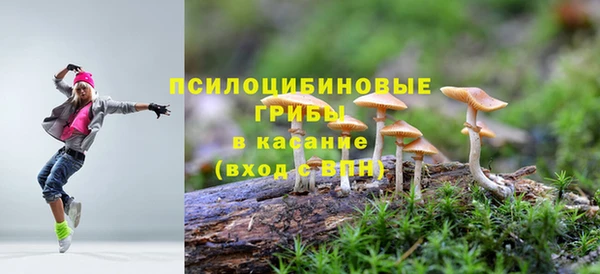 ALPHA PVP Корсаков