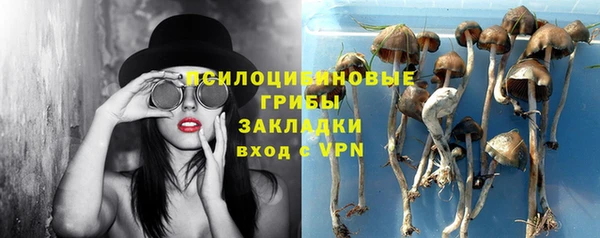 гидра Коряжма