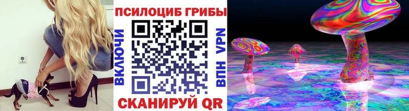 Купить где  Вихоревка  Галлюциногенные грибы GOLDEN TEACHER 